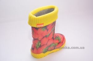 Резиновые сапожки