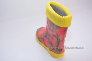 Резиновые сапожки