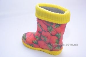 Резиновые сапожки