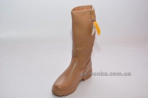 Высокие зимние сапоги