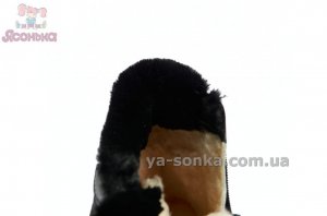 Ботинки для дівчинки