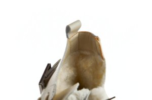 Кремовые ботинки зимние Clibee девочкам